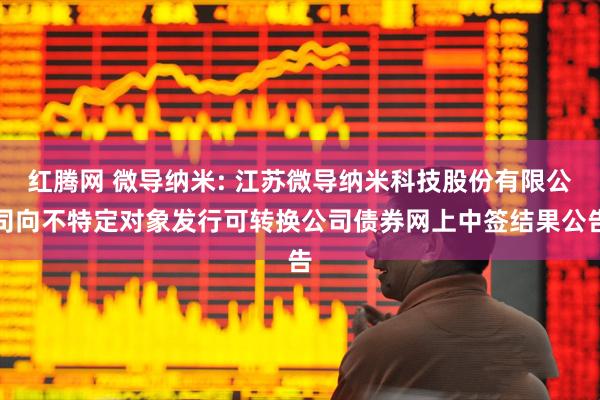红腾网 微导纳米: 江苏微导纳米科技股份有限公司向不特定对象发行可转换公司债券网上中签结果公告